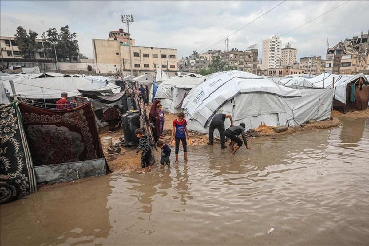 معاناة النازحين غزة